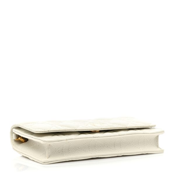 CHRISTIAN Dior Supple Calfskin Pouch with Chain - Image 2