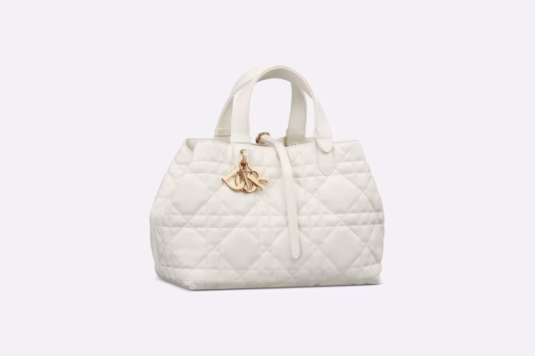 Dior MEDIUM TOUJOURS BAG
