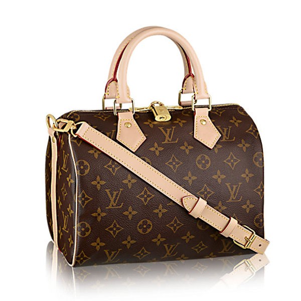 Louis Vuitton Delightful GM Bag For Women